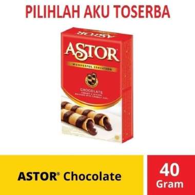 Promo Harga ASTOR Wafer Roll Chocolate 40 gr - Blibli