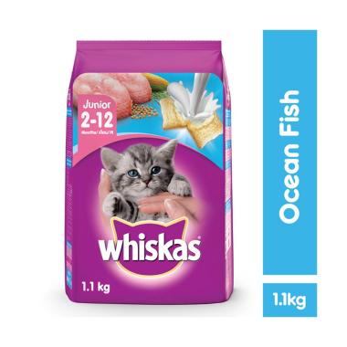 Daftar Harga Susu Kucing Whiskas Terbaru September 2020 Terupdate Blibli Com