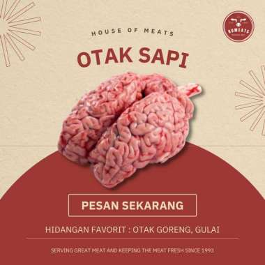 Otak Sapi Lokal Segar