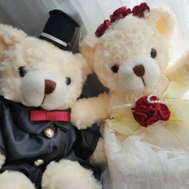 Boneka Teddy Bear Wedding Couple Beruang Kecil Fluffy Lucu Hampers