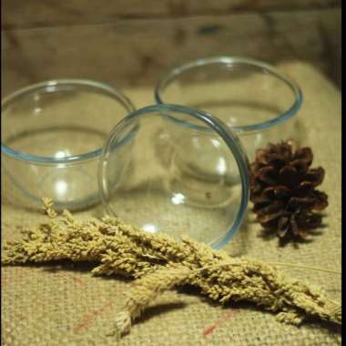 MANGKUK KACA BENING UKURAN KECIL MANGKOK MINI SOUVENIR GIFT VAS TANAMAN HIAS BAMBU HOKI MINI LUCKY B