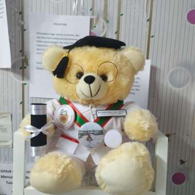 Boneka Dokter Wisuda 50cm + Kacamata + Stetoskop + Piagam + Packing