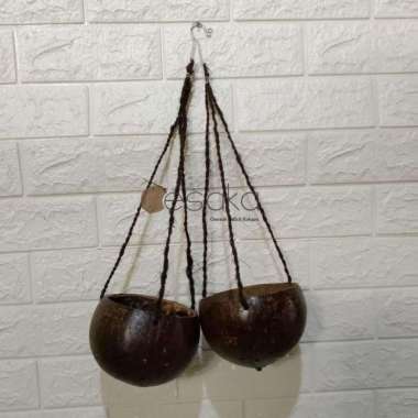 pot tempurung kelapa batok kelapa pot gantung model tempurung