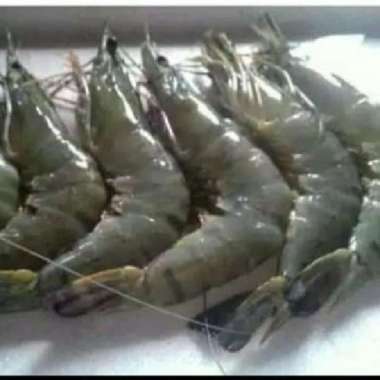 udang basah segar 500 gram
