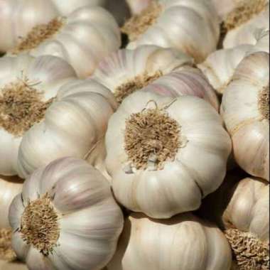 Bawang Putih 1 kg