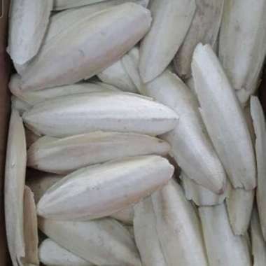 Sotong 1Kg Tulang Sotong Suntung Kering Makanan Burung Lovebird Perkut