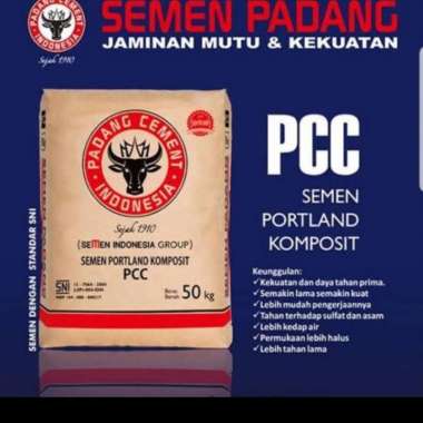 SEMEN PADANG 50KG PCC 160sak