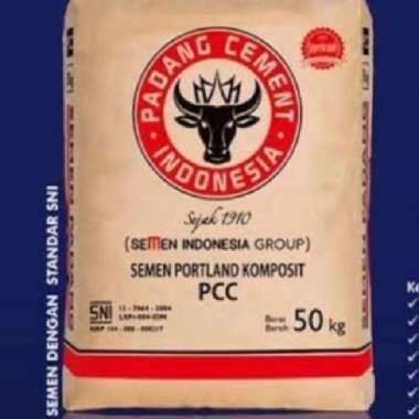 SEMEN PADANG 50KG PCC 80sak Bogor