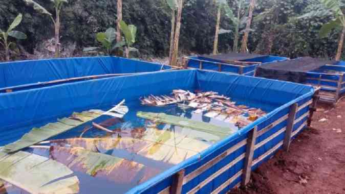 Kolam Terpal Ikan/Kolam Kotak 2x1x1m/Kolam Ikan Koi/Terpal Kolam Murah