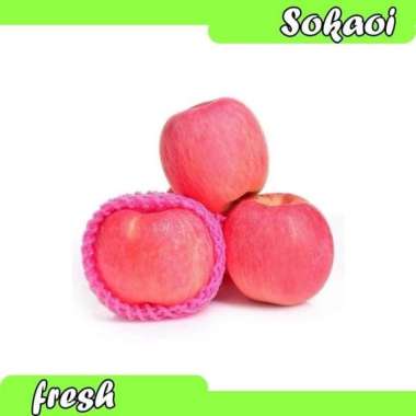 APEL FUJI BUAH APEL BUAH SEGAR BUAH BUAHAN