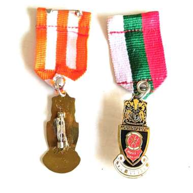 Lencana Pin Tanda Jasa The Humber Pin Bintang Jasa Murah Mulyocreative