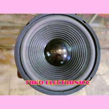 Speaker Curve 10 inch Woofer