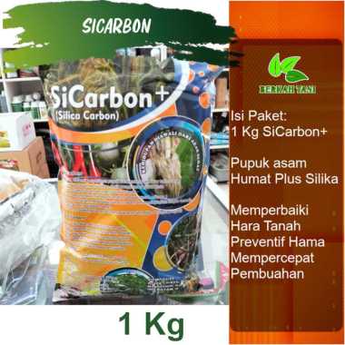 Sicarbon 1 Kg Pupuk Silika Plus Asam Humat