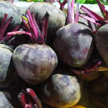 BUAH BIT / BEET ROOT 500gr