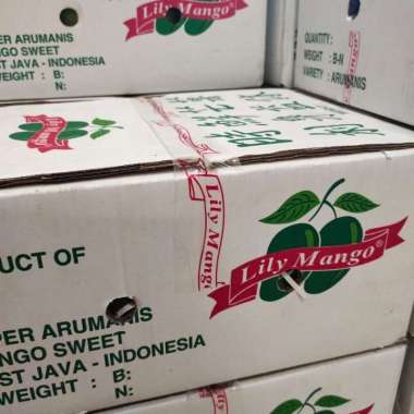 Mango Lily/ Mangga Lily 1 dus