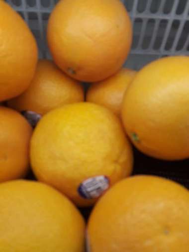Buah Jeruk Sunkist Valencia Lokal