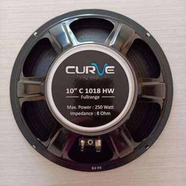 Speaker Curve 10 Inch Full Range