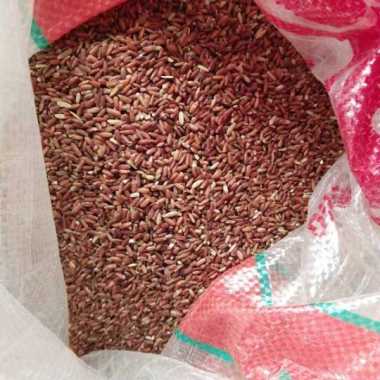 BERAS MERAH 1kg PAKAN AYAM.JAGO PAKAN BURUNG DARA MERPATI DLL
