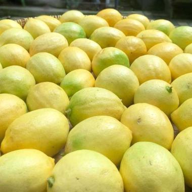 Lemon Buah Jeruk Lemon Lokal [1 kg] Rp13.000 (4) Terjual 38 Lemon Buah  Jeruk Lemon Lokal [1 kg] Rp25.000 (1) Terjual 2 Lemon Buah Jeruk Lemon  Lokal [1 kg] Rp27.000 Jeruk Lemon Lokal 1 Kg Rp10.500 (13) Terjual 144  Jeruk Lemon Lokal /1kg ...