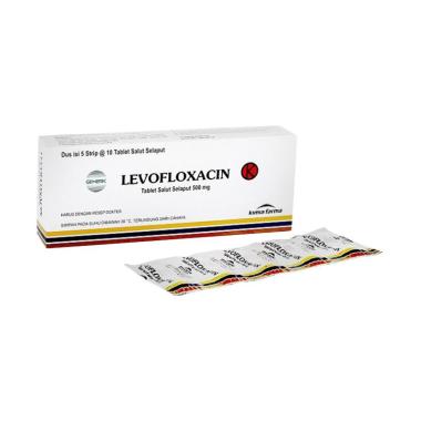 Jual Levofloxacin Tablet Oabat Kesehatan 500 Mg 10 Tablet Online September 2020 Blibli Com