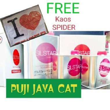 SS-521 SILSTAR Premium Clear Coat ( 2:1 ) 2K + Hardener + thinner