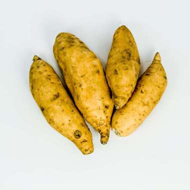 Harga Ubi Cilembu Blibli Com