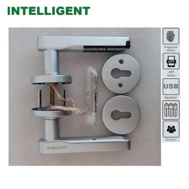 Intelligent Door Lock Fingerprint Kunci Pintu Digital Sidik Jari Silver