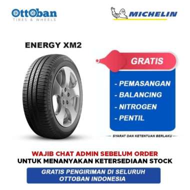 Michelin Energy XM2+ 205 55 R16 91V Ban Mobil