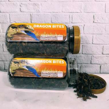 Pakan Pelet Makanan Reptil Dragon Bites Jangkrik Kering 100 gr CHERIBON ID