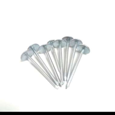 Paku Payung per kg kilogram 2 in