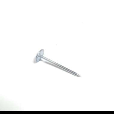 Paku Payung per kg kilogram 1 3/4 in