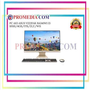 PC AIO ASUS V222FAK BA341W1 I3 10110/4GB/1TB/21,5'/W11