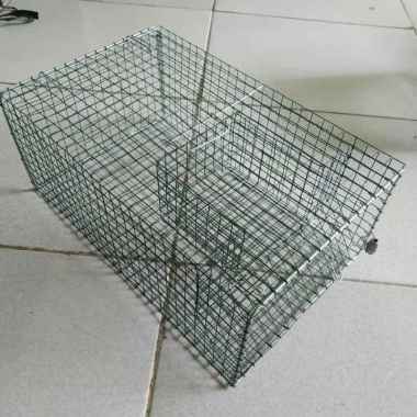 Jual Perangkap Jebakan Tikus Massal Walk Plank Mouse Trap Online Maret 2021 Blibli Perangkap tikus diy terbuat dari pipa pvc /perangkap tikus terbaik dari tabung plastik. jual perangkap jebakan tikus massal