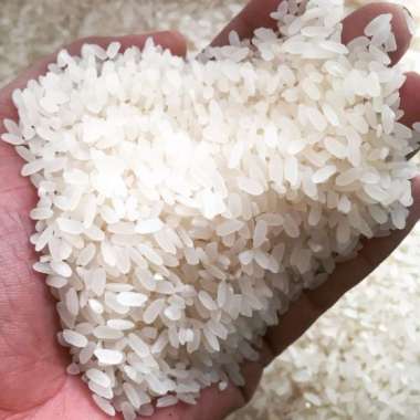 Beras 10 Kg Harga Terbaru Mei 2021 Beras 10 Kg Harga Terbaru Mei 2021