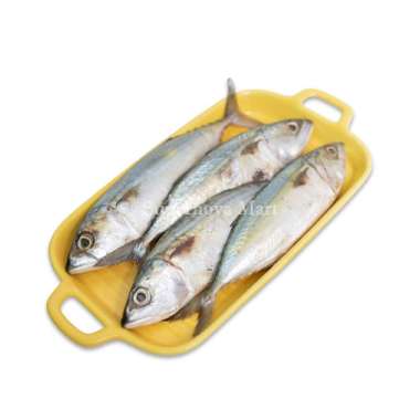 Supernova Mart Ikan Kembung Banjar Segar [1 kg / Area Jakarta]