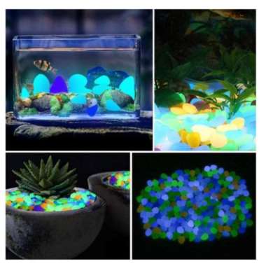 62 Dekorasi Batu Aquarium HD