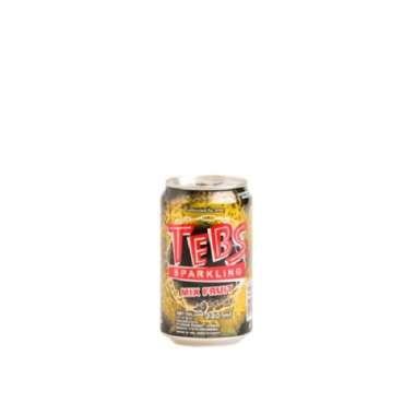 Tebs tea cooler carbonated can 330 ml
