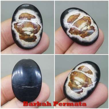Batu Akik Fosil Galih Kelor Asli hitam coklat