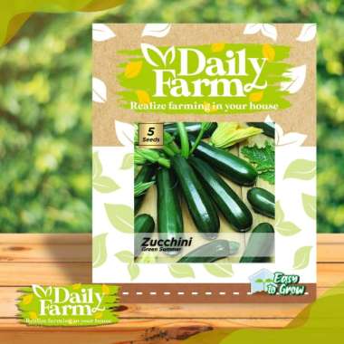 DF benih timun ZUCCHINI green summer 5 butir ketimun italia daily farm