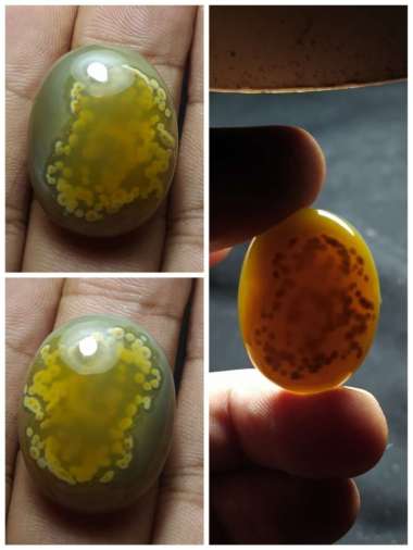 Natural Batu Akik Motif Gambar Telur Kodok Unik Antik