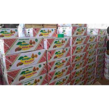 Buah mangga alpukat 1 dus isi 10kg