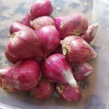 Bawang Merah Brebes/Bawang Merah 1kg - Bawangbagus