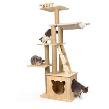 tree house cats