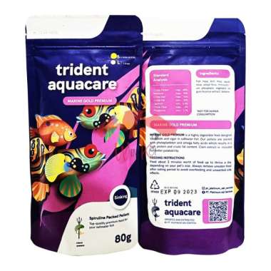 80 Ikan Air Laut Pink Terbaru