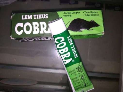 Lem Tikus Cobra untuk perangkap tikus di rumah