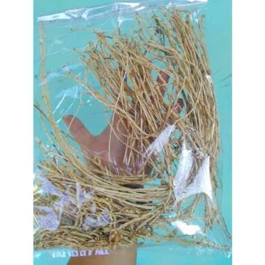 Akar Ilalang Alang Alang 1000gram Kering Fresh