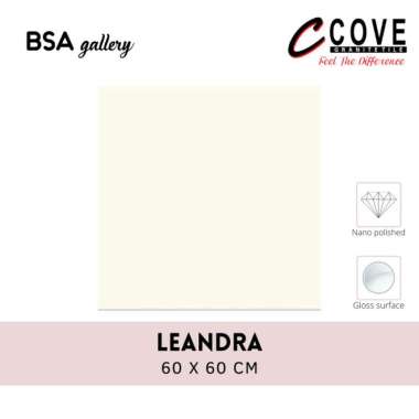 GRANIT COVE LEANDRA 60x60 - GLAZED POLISHED GRANITE TILE