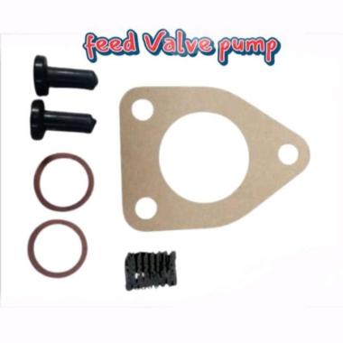 Valve Feed Pump