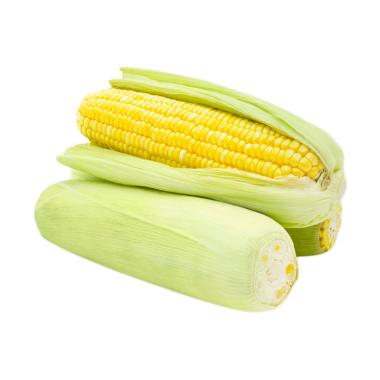 Unduh 560 Koleksi Gambar Foto Jagung Terbaik Gratis HD