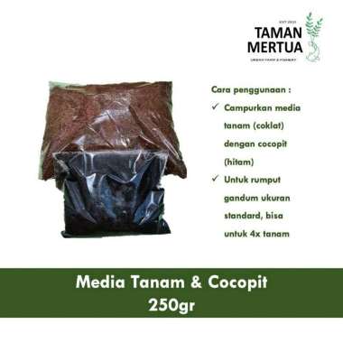 Media Tanam Dan Cocopit 250gt menanam rumput gandum